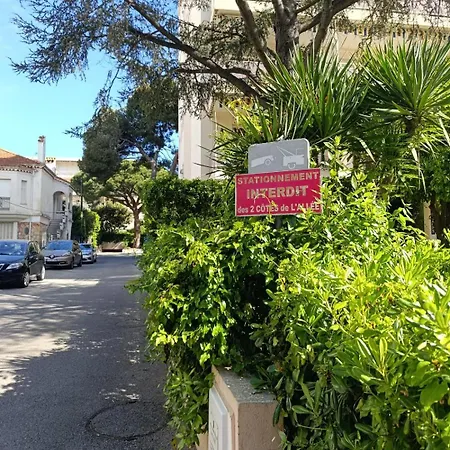 Cote D'azur * カンヌ